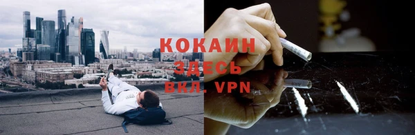 дурь Алексин