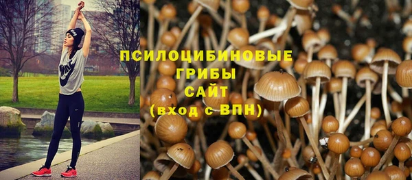 кокс Алзамай