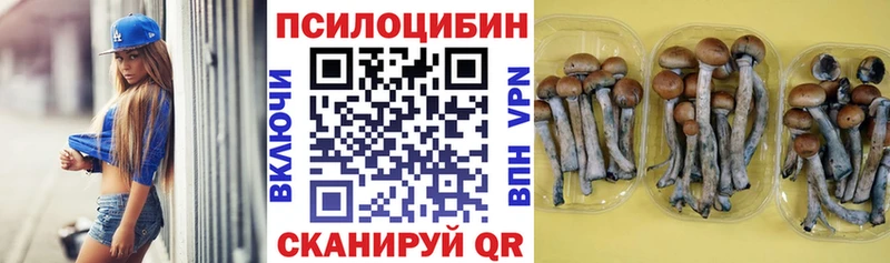 Псилоцибиновые грибы GOLDEN TEACHER цена Красногорск