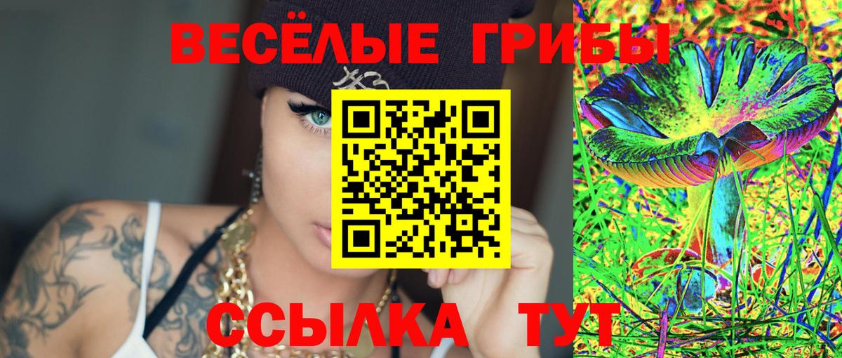 Псилоцибиновые грибы Psilocybe  Псилоцибиновые грибы ЛСД  Красногорск  продажа наркотиков  Вход с VPN 