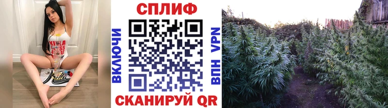 Бошки марихуана марихуана Красногорск